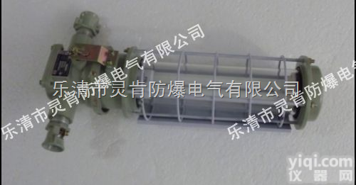 DGS24/127Y  DGS24/127Y <em>矿用</em><em>荧光灯</em> 防爆<em>荧光灯</em> DGS24/127Y价格