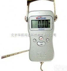 <em>手提</em><em>电子秤</em>OCS-2  <em>手提</em><em>电子秤</em>OCS-2