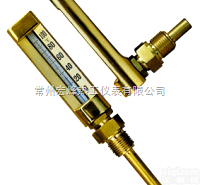 WLG系列<em>外标式V型温度计</em>  WLG系列<em>外标式V型温度计</em>