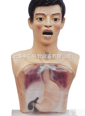 ZH-Y1  带<em>警示</em>透明<em>洗胃</em>机制<em>模型</em>