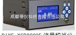 DIYE-<em>XSR2003F  流量积算仪</em>