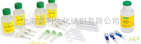 Bcl-2 <em>单克隆</em><em>抗体</em>,Bcl-2 <em>单克隆</em><em>抗体</em>厂家