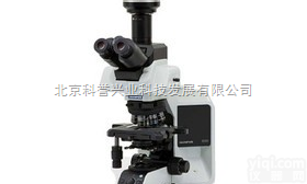 奥林巴斯BX53系列生物<em>显微镜</em>/<em>现货供应</em>BX53生物<em>显微镜</em>北京