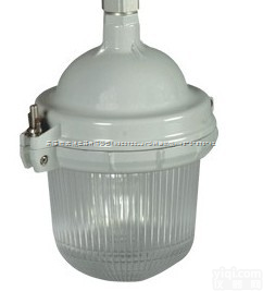 电厂照明弯杆三防灯，<em>吸顶</em>式三防弯灯，直<em>杆式</em>三防灯