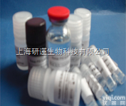 人<em>幽门</em><em>螺杆菌</em>（HP）ELISA<em>试剂盒</em>说明书