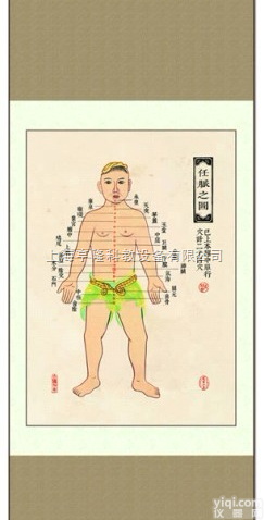 ZYJLGT  <em>中医针灸</em>挂图：十四经络 <em>任脉</em>之图