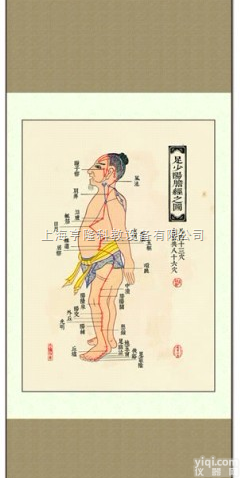 ZYJLGT  <em>中医针灸</em>挂图：十四经络 足<em>少阳</em>胆经之图