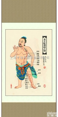 ZYJLGT  <em>中医针灸</em><em>挂图</em>：十四经络 足<em>太阴</em>脾经之图