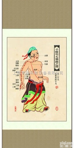 ZYJLGT  <em>中医针灸</em>挂图：十四经络 手<em>阳明</em>大肠经之图