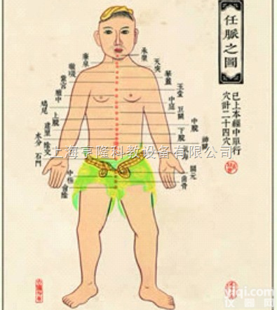 ZYJLGT  <em>中医针灸</em>挂图：<em>任脉</em>之图（卡片）