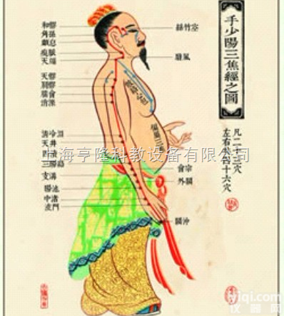 ZYJLGT  <em>中医针灸</em>挂图：手<em>少阳</em>三焦经之图（卡片）