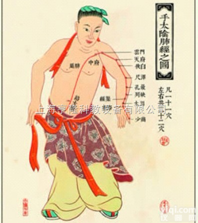 ZYJLGT  <em>中医针灸</em>挂图：手<em>太阴</em>肺经之图（卡片）