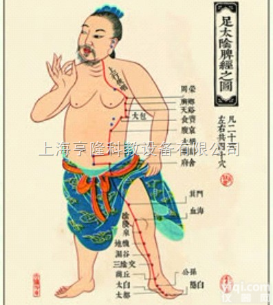 ZYJLGT  <em>中医针灸</em>挂图：足<em>太阴</em>脾经之图（卡片）