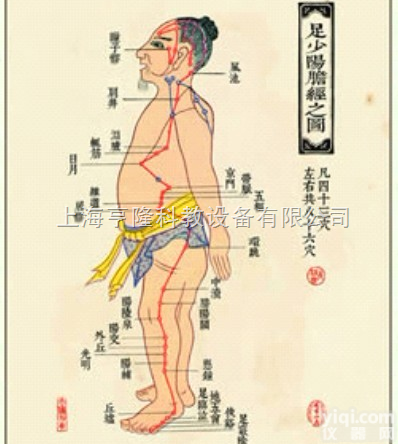 ZYJLGT  <em>中医针灸</em>挂图：足<em>少阳</em>胆经图 仿古宣纸画芯