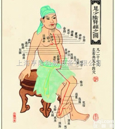 ZYJLGT  <em>中医针灸</em>挂图：<em>足少阴肾经</em>图 仿古宣纸画芯