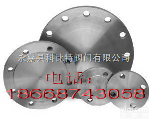 <em>法兰盖</em>专业厂家/<em>法兰盖</em>价格