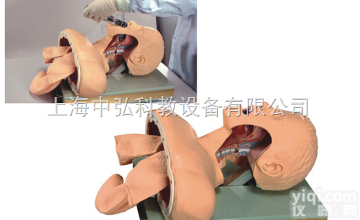 ZH/J50  高级<em>成人气管插管训练模型</em>