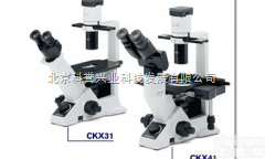 CKX41倒置<em>显微镜</em>  奥林巴斯CKX41<em>显微镜</em>/CKX41生物<em>显微镜</em>/<em>北京</em>CKX41<em>显微镜</em>价...