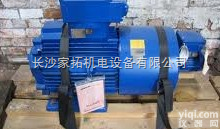 <em>LOHER</em> ANGA  <em>德国</em>罗尔<em>LOHER</em>电机、<em>LOHER</em>低压电机