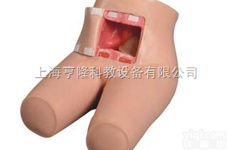 KAB/15  高级<em>灌肠</em>和辅助<em>排便</em>训练<em>模型</em>