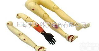 KAH/110-10  高级<em>创伤</em><em>四肢</em><em>模型</em>