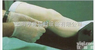 <em>KAH/CK20135  膝关节腔内注射模型</em>