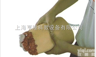 <em>KAH/H3008  下肢外伤断肢止血模型</em>