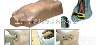 KAH-ZXA  ZX<em>静脉注射</em><em>穿刺</em><em>躯干</em>训练模型