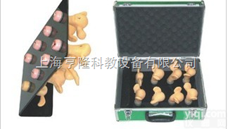 <em>KAH-ZG  高级子宫宫颈病变模型（8件）</em>