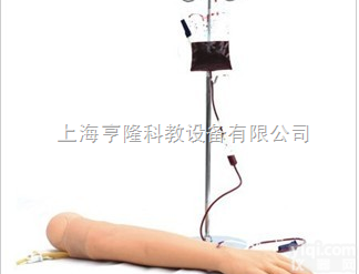 <em>KAH-S2  高级静脉穿刺及肌肉注射手臂模型</em>