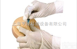 <em>KAH/S17  高级胰岛素注射练习模型</em>