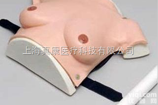 KAB/14B  高级<em>着装</em>式<em>乳房</em><em>自检</em>模型