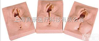 KAB/H  高级<em>外阴</em><em>缝合</em>练习模型