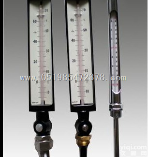 常州新华WNY/WNG  板式<em>杀菌锅专用温度计</em>