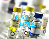 人<em>细胞凋亡</em><em>酶联免疫</em>检测（<em>ELISA</em>）