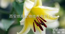 百合<em>提取物</em>10：1/ <em>20</em>：1 　  百合<em>提取物</em>10：1/ <em>20</em>：1