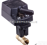 <em>江森</em>VG1000<em>系列</em>  <em>江森</em>VG1000<em>系列</em>（DN15~DN100）角行程球阀