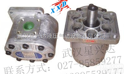 <em>CBN</em>-F563-<em>BFHL</em>  <em>CBN</em>-F563-<em>BFHL</em><em>齿轮泵</em>