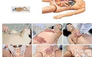 GD/F55  高级<em>分娩</em>与<em>母子</em>急救模<em>拟人</em>