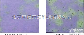 <em>餐饮具</em>用大肠群<em>检测</em>纸片10份/包