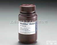 7-（D-5-氨基-5-羧基戊酰胺基）头孢霉烷酸<em>锌盐</em>  <em>头孢菌素</em>C<em>锌盐</em>,59143-60-1