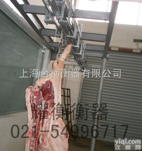 XK3151A  供应<em>生猪</em><em>屠宰场</em>专用电子轨道秤 轨道衡 屠宰秤