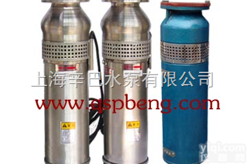 QSP喷泉专用泵 <em>不锈钢喷泉泵</em>