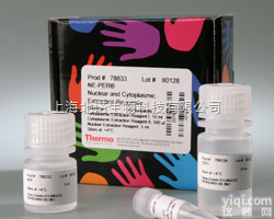 <em>Streptavidin</em>, <em>Fluorescein</em> （FITC） Co...