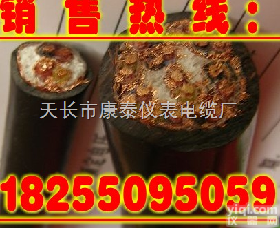 DJFPFRP计算机电缆【行情 价格 <em>厂家</em> 现货】