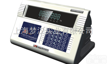 D2008E数字<em>称重</em>显示控制<em>显示器</em>-=D2008EP数字显示打印控制称...
