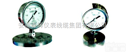 YMN <em> YMN系列隔膜式耐振压力表</em>