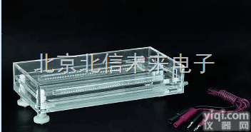 DL19-DYCP-36  等电<em>聚焦</em><em>电泳仪</em> 等电<em>聚焦</em>电泳槽  多用电泳槽