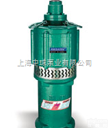 QD  QD多级潜水电泵