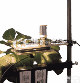 PH1LP教学<em>实验</em><em>光合作用仪</em>